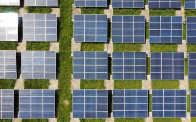 Grön omställning i Sverige – framtidens utmaningar